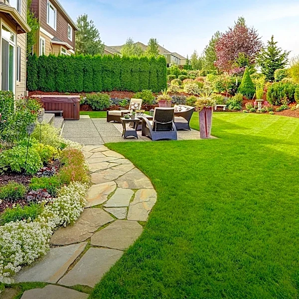 Backyard Transformation: From Scrappy to Dreamy Outdoor Oasis