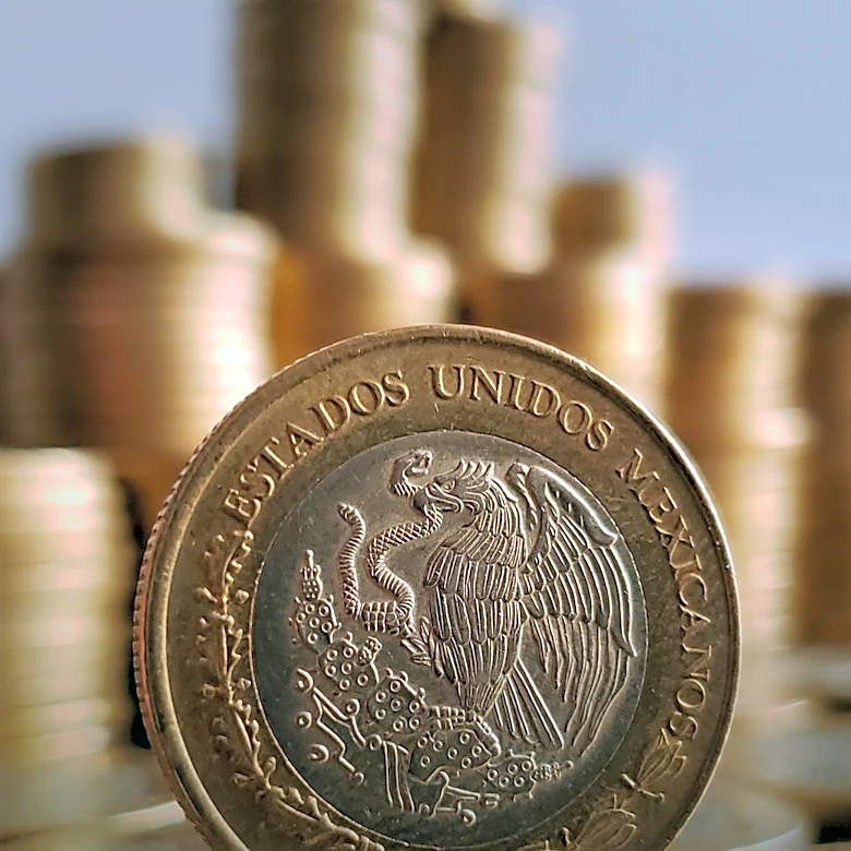 Philadelphia Artist Creates Sculptures from Currency