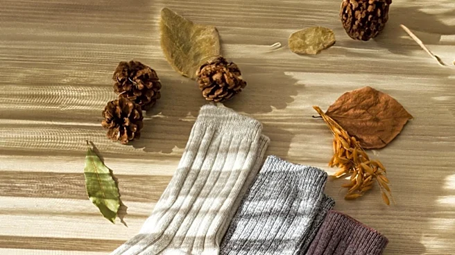 Merino Wool Underwear Gains Popularity for Odor Resistance and Comfort