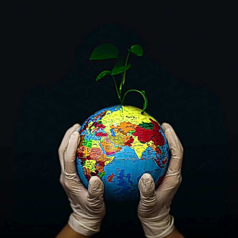 Companies Face Scrutiny Over Greenwashing Amid Calls for Transparent Supply Chains