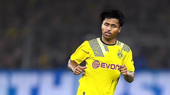 Borussia Dortmund Concludes Japan Tour with Victory Over FC Tokyo