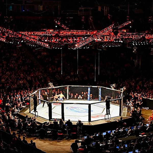 Amanda Nunes' UFC Debut Remembered as a Pivotal Moment in MMA History