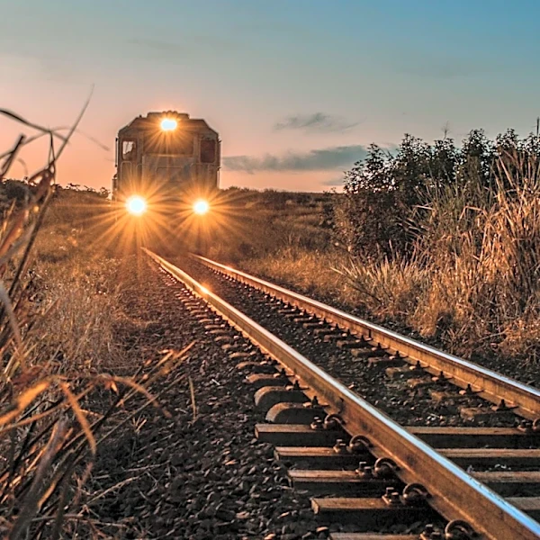 Finger Lakes Evening Club Train Offers Relaxed Travel Experience with Local Delicacies