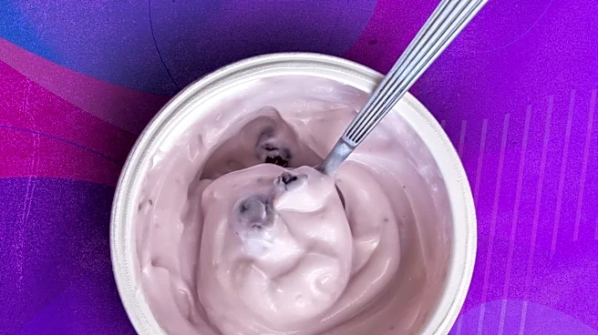 Gen Z Drives Resurgence in Premium Protein-Packed Frozen Yogurt