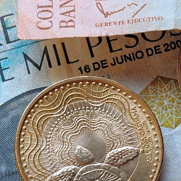 Artist Stacey Lee Webber Creates Sculptures from Currency