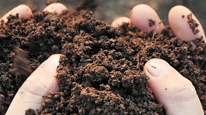 Master Gardeners Advocate for Soil Contact to Boost Immune Health