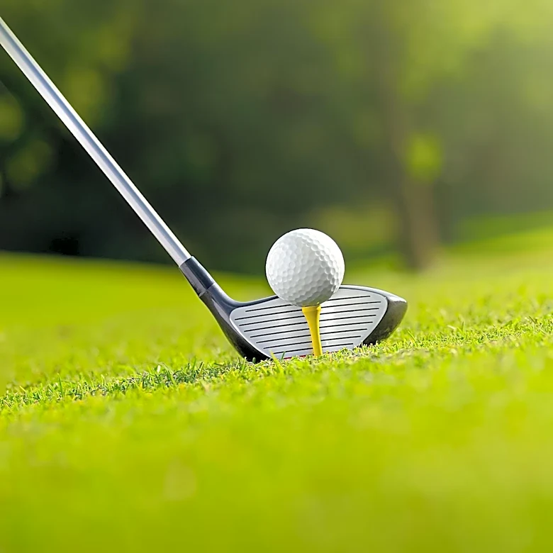 Pat Ryan Wins Super Senior Division at Times-Republican City Golf Championship