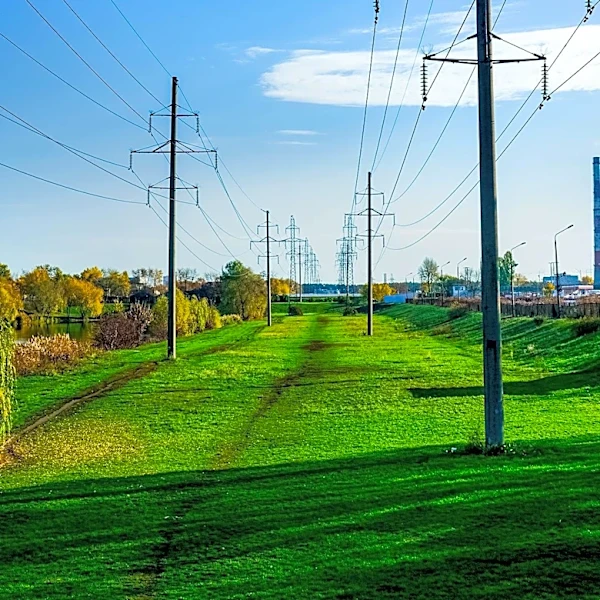 Modern Grid Flexibility Enhanced by Location-Specific Optimization