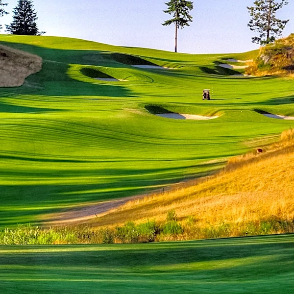 Michigan Golf Journal Highlights Summer Golf and PGA Tour Developments