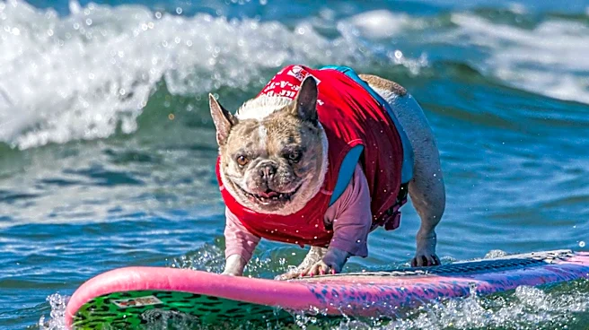 California Woman and Her Dog Overcome Cancer to Compete in World Dog Surfing Championships