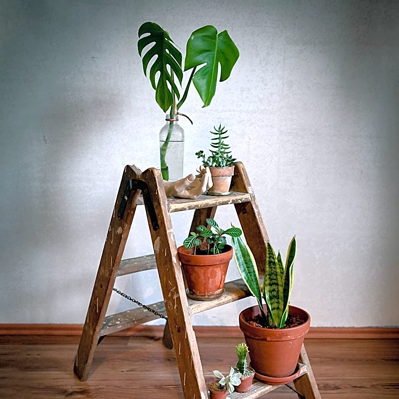 Upcycled Furniture: Transforming Old Items into Usable Pieces