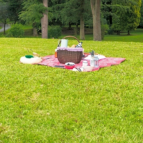 St. Mary Nativity and Holy Cross Parish Picnic Scheduled for August 23rd in Joliet