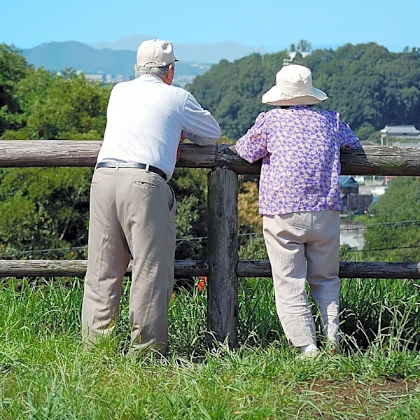 Top High-Yield Monthly Dividend Stocks for Retirees in August