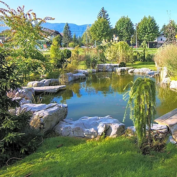 Microponds Gain Popularity as Eco-Friendly Garden Features