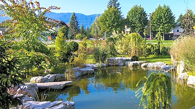 Microponds Gain Popularity as Eco-Friendly Garden Features