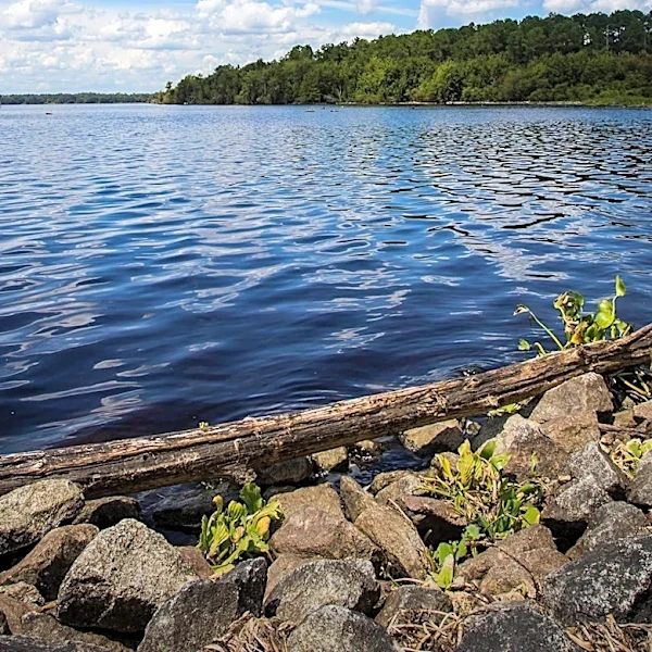 St. Cloud, Minnesota Offers Diverse Outdoor Adventures and Cultural Attractions
