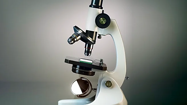 Medicus Pharma Advances Skin Cancer Treatment with Phase 2 Study