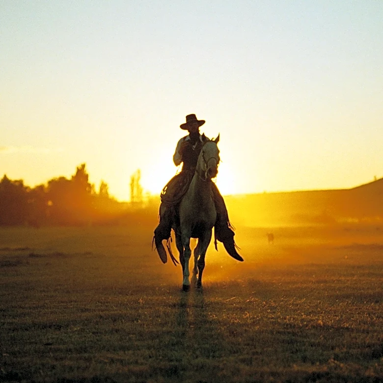 Exploring the Legacy of Influential Western Movies