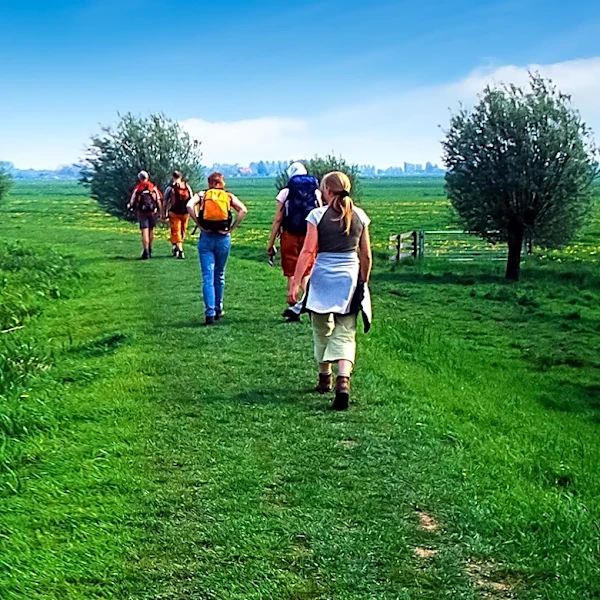 Young Pilgrims Increasingly Drawn to Camino de Santiago for Reflection and Connection