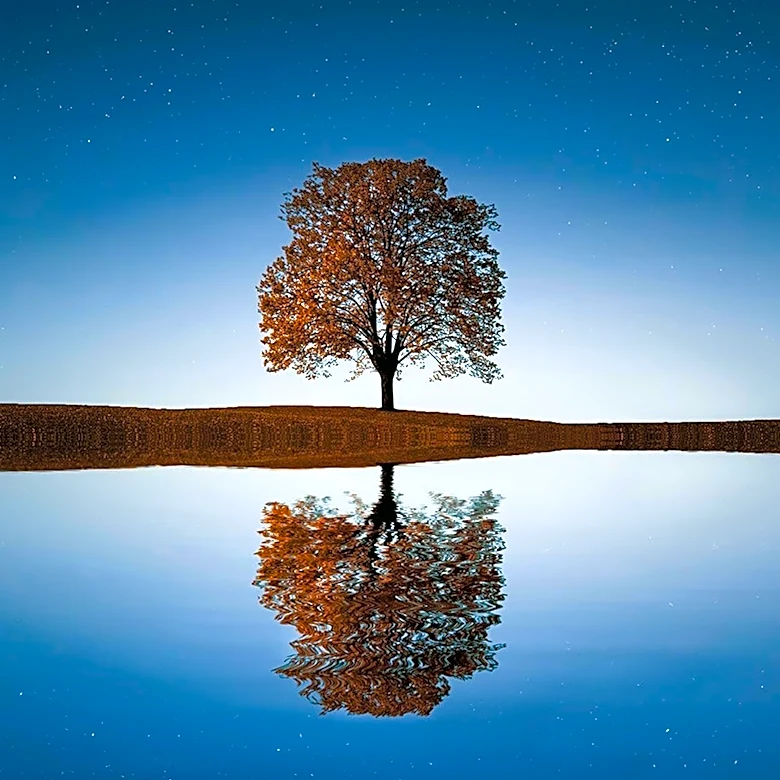 Exploring Solitude: Dr. Laurie Santos Discusses Benefits of Being Alone