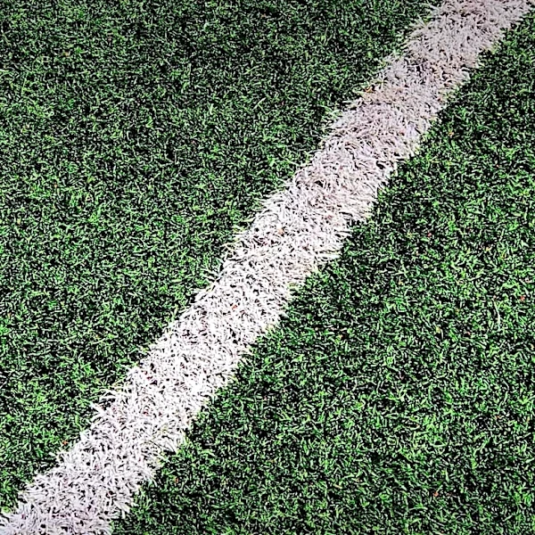 Homeowner Replaces Mature Tree with Artificial Turf Amid Controversy