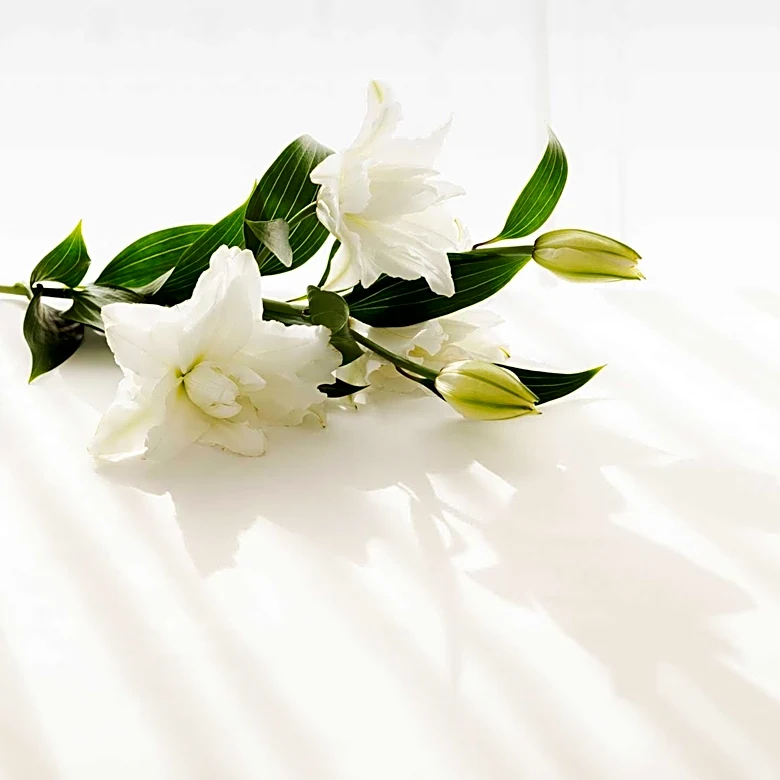 Funeral Services Announced for Manitowoc Resident Janet M. Moser