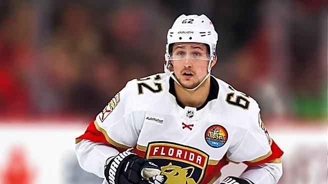 Florida Panthers Reveal 2026-27 Theme Nights for Upcoming Season
