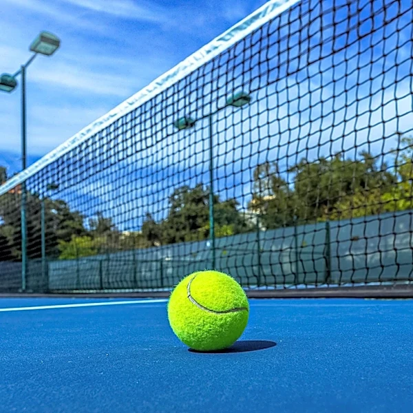 National Bank Open: Lanlana Tararudee Faces Emerson Jones Amidst Rain Delays