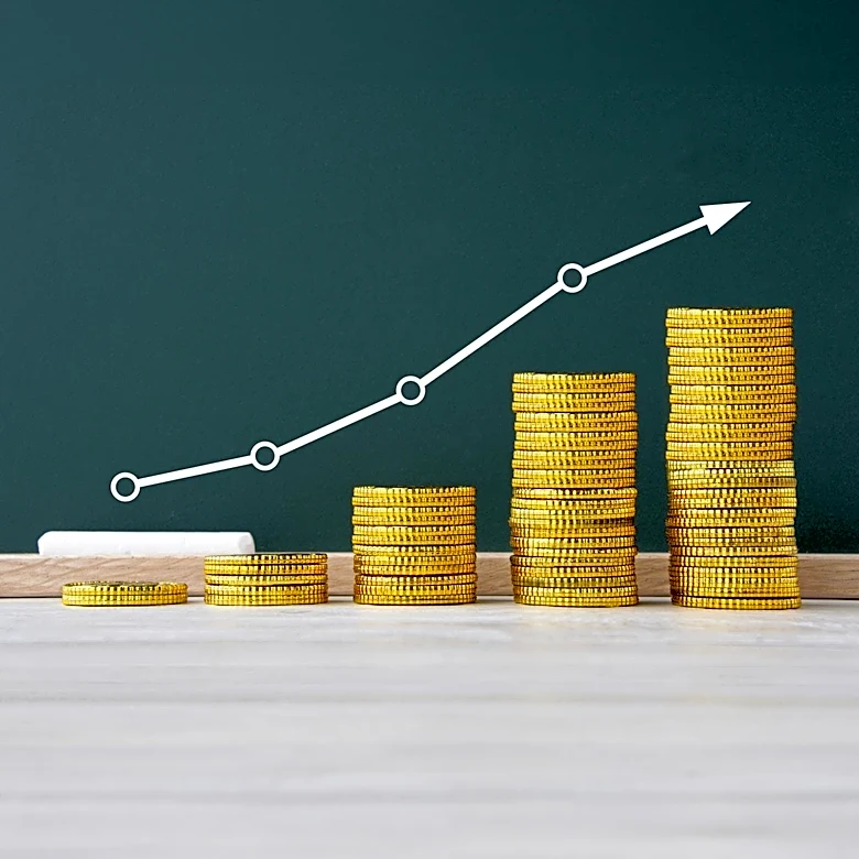 OPCVM Investments: Understanding Collective Investment Schemes