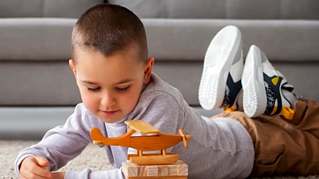Boy Hospitalized After Toy Explosion Due to Sun Exposure