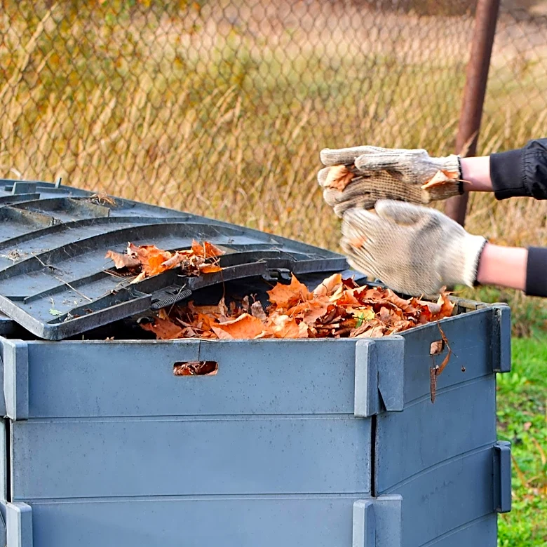 Home Composting Simplified: Easy Steps for Beginners to Start Today