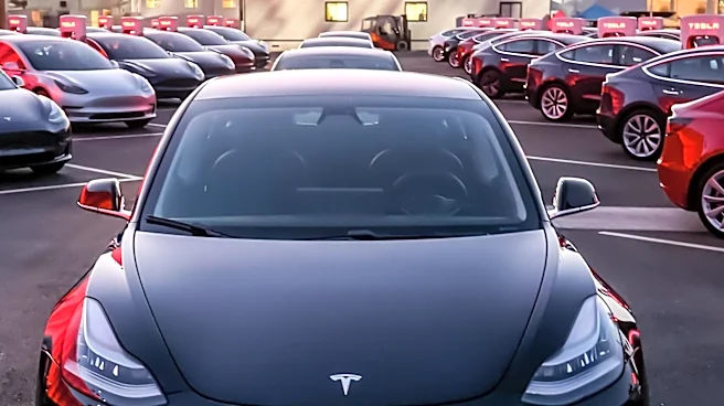 Tesla Misses Earnings by 38%, Elon Musk Focuses on Future Innovations