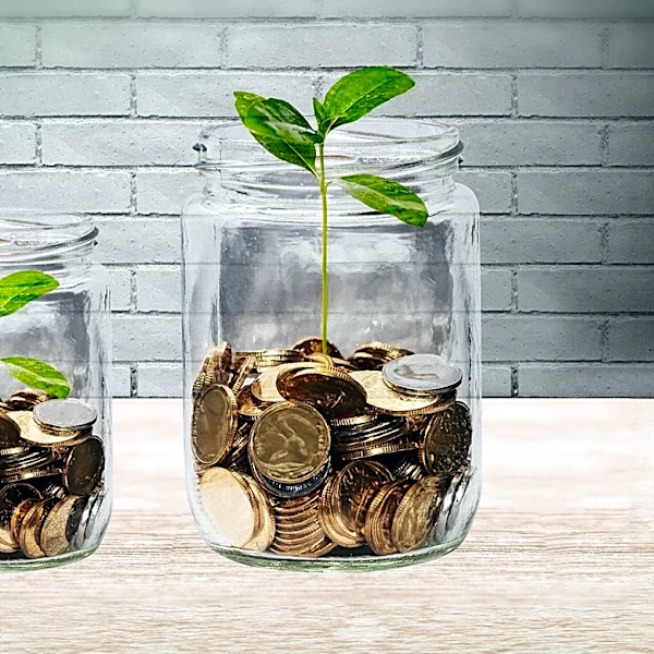 Ted Benna Proposes Radish Plan to Address 401(k) System Limitations