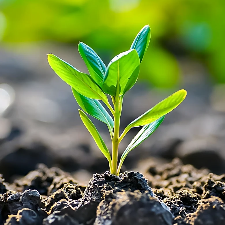 Agricultural Microbials Market Projected to Reach $21.57 Billion by 2031