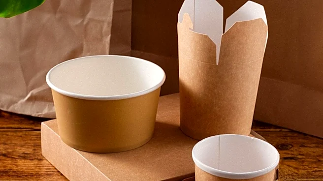 Food and Beverage Industry Faces Challenges in Transition to Sustainable Packaging