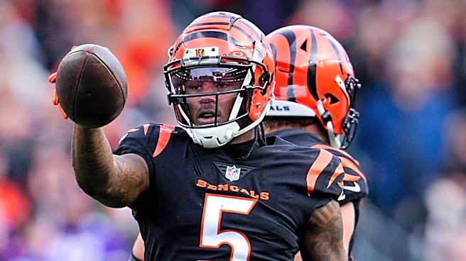 Bengals' 2026 Offseason Moves Among Top NFL Additions