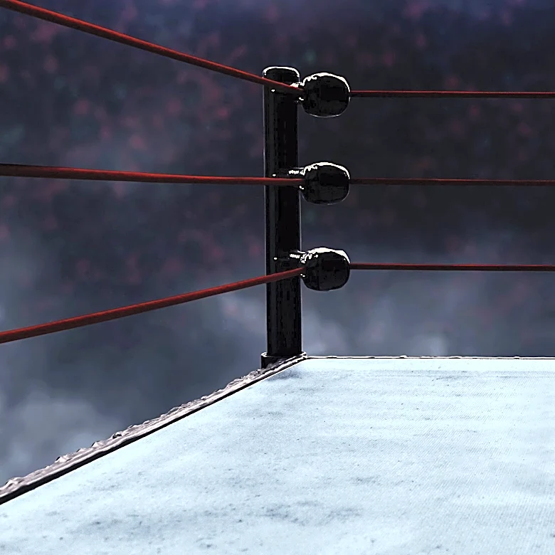 Brie Bella's Injury at SummerSlam Alters WWE Plans