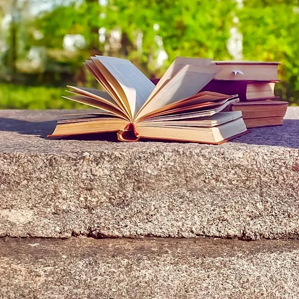 BookTok's Influence on Summer Reading: A Cultural Phenomenon