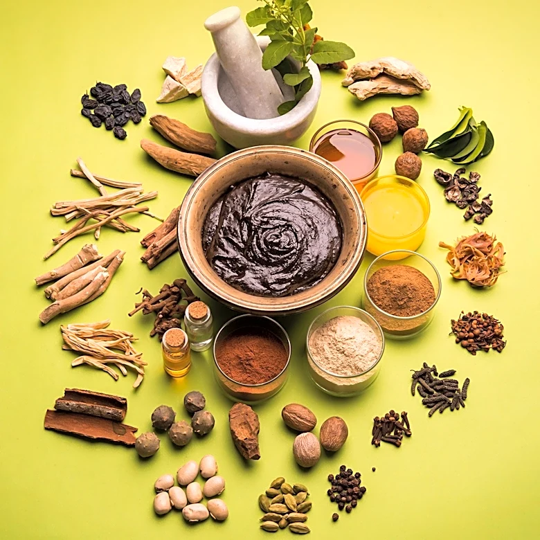 Ayurvedic Practices Emphasize Meal Timing for Better Health