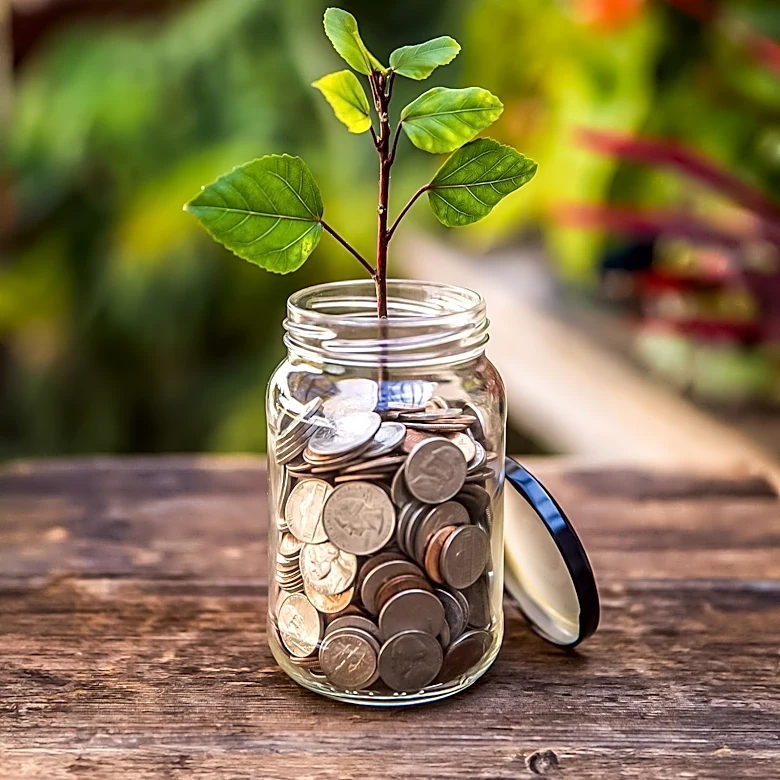Top PIMCO Mutual Funds Highlighted for Strong Performance and Investment Potential