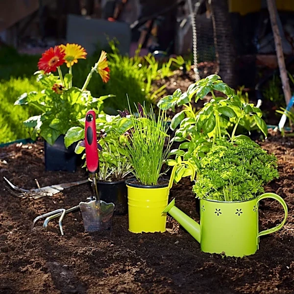 Container Gardening: Enhancing Accessibility and Customization for Herb Cultivation