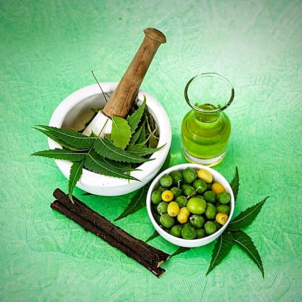 Ayurveda's Role in Stress Management and Holistic Health