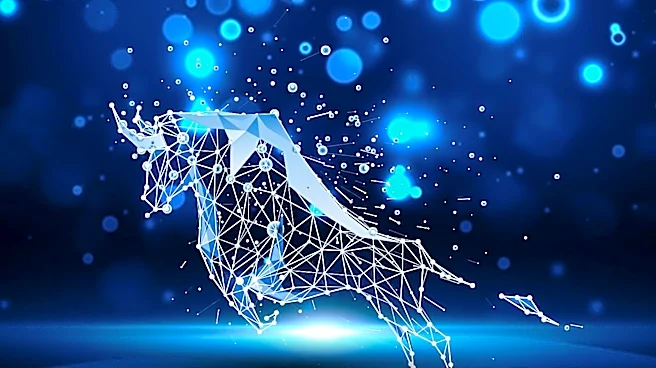 Broadening Bull Market Driven by Big Tech's Free Cash Flow Concerns