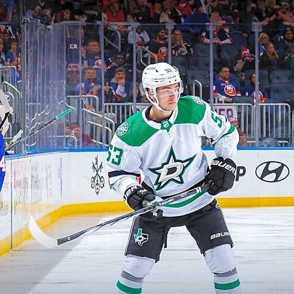 NHL Seeks IT Service Desk Manager to Enhance Technical Support