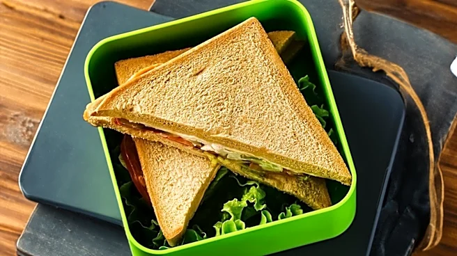 Creative Lunch Box Solutions for Busy Parents