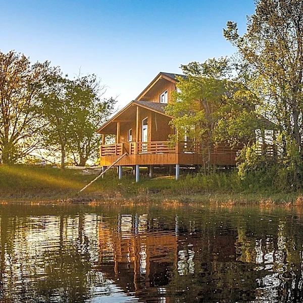 Leroy Percy State Park: Mississippi's Historic and Tranquil Outdoor Retreat
