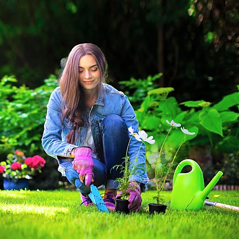 Maine Cooperative Extension Advises on August Gardening Amid Drought Concerns