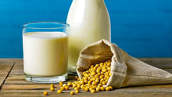 Protein Deficiency in Adults: Signs and Solutions for Optimal Health