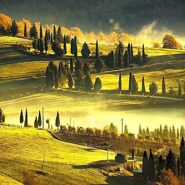 Twin Cities Live Announces Tuscany Tour for Fall 2027