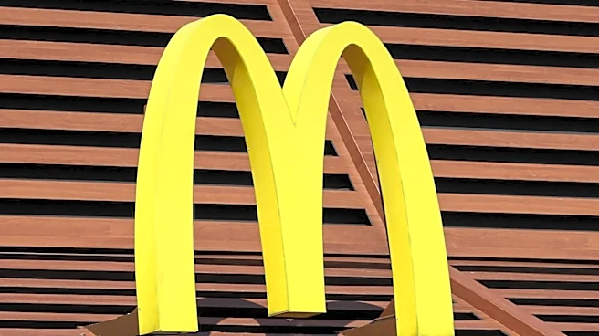 McDonald's Appoints New U.S. President Amidst Sluggish Domestic Sales Growth